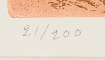 Inari Krohn, Kevätkoivikko.