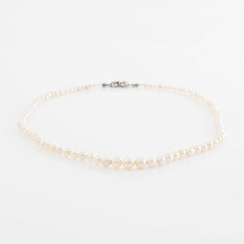 Pearl necklace, with cultured pearls, clasp in white metal with marcasites.