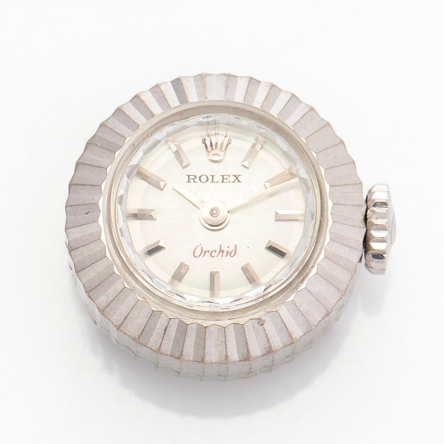 Rolex, Orchid, Chameleon, wristwatch, 16 mm.