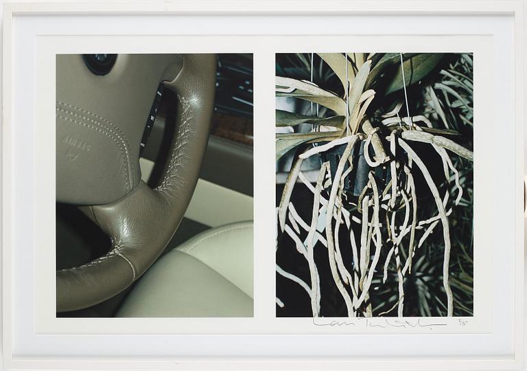 Lars Tunbjörk, From the series "Wunderbaum".