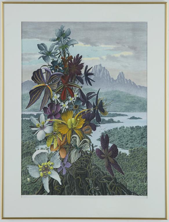 KARL AXEL PEHRSON, färglitografi, signerad och numrerad, 94/385.