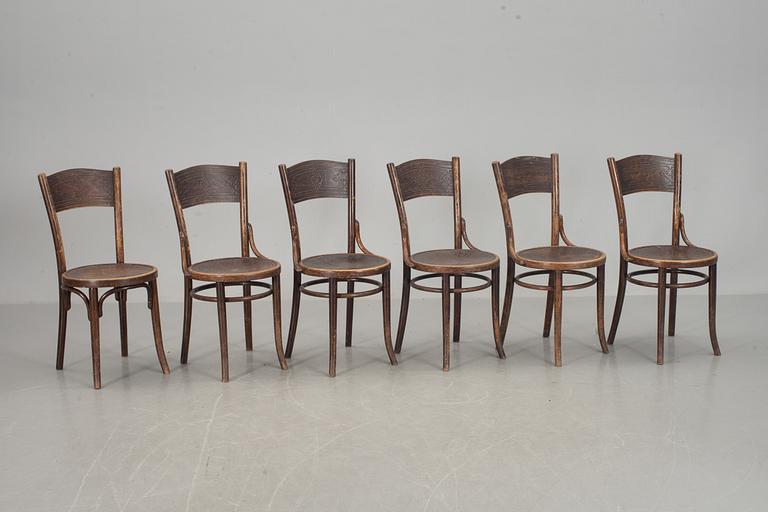 STOLAR, 6 st, Cosmos, 1900-talets första hälft, etikettmärkta.