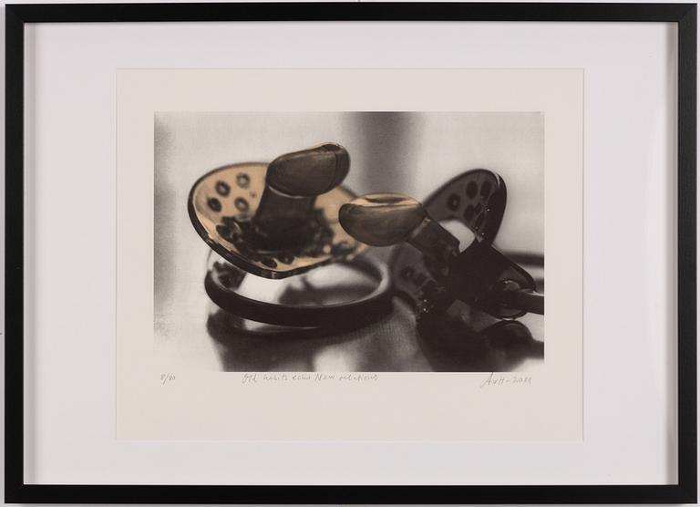 Annika von Hausswolff, "Old habits echo New relations".