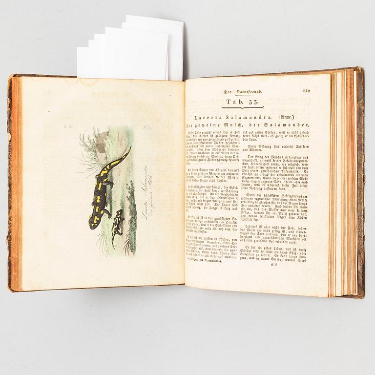 BOOK, with hand coloured dry needle engravings.