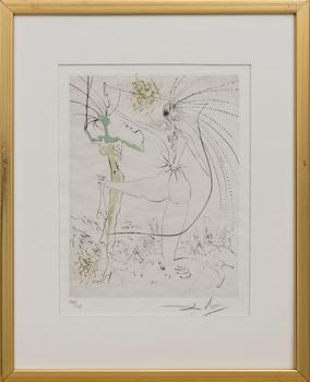 SALVADOR DALÍ, watercoloured drypoint etching roulette, signed and numbered 128/145.