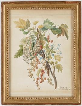 Petronella Gustava Stenhoff · PETRONELLA GUSTAVA STENHOFF, akvarell, sign Petronella G. Stenhoff, dat 1817.