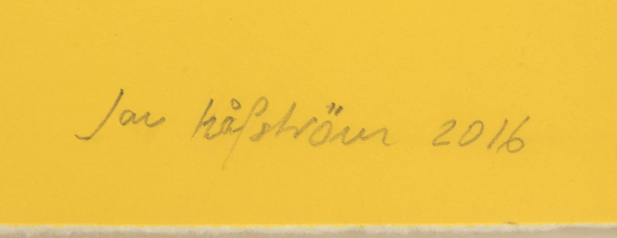 Jan Håfström, "Sudden fear".