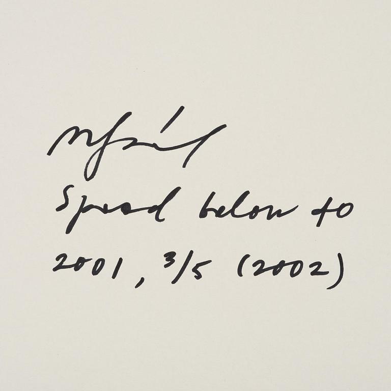 Miklos Gaàl, "Speed Below 40", 2001/2002.