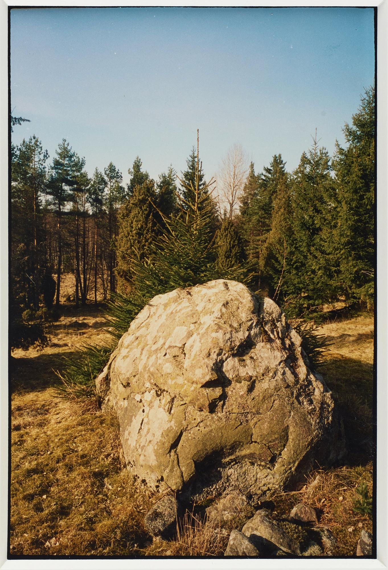 Ann Böttcher, "Gran Framför Sten, Gran Bakom Sten", 2002-2006.