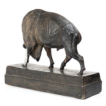 Arvid Knöppel, American bison.