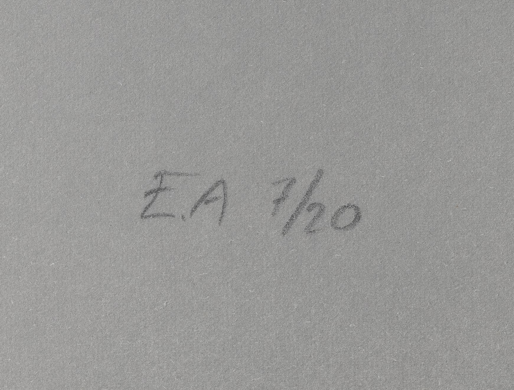 Yrjö Edelmann, "Wrapped Wimbledon".