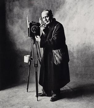 Posters, 2, for the exhibition by Irving Penn at Camera Obscura, Stockholm 1977.