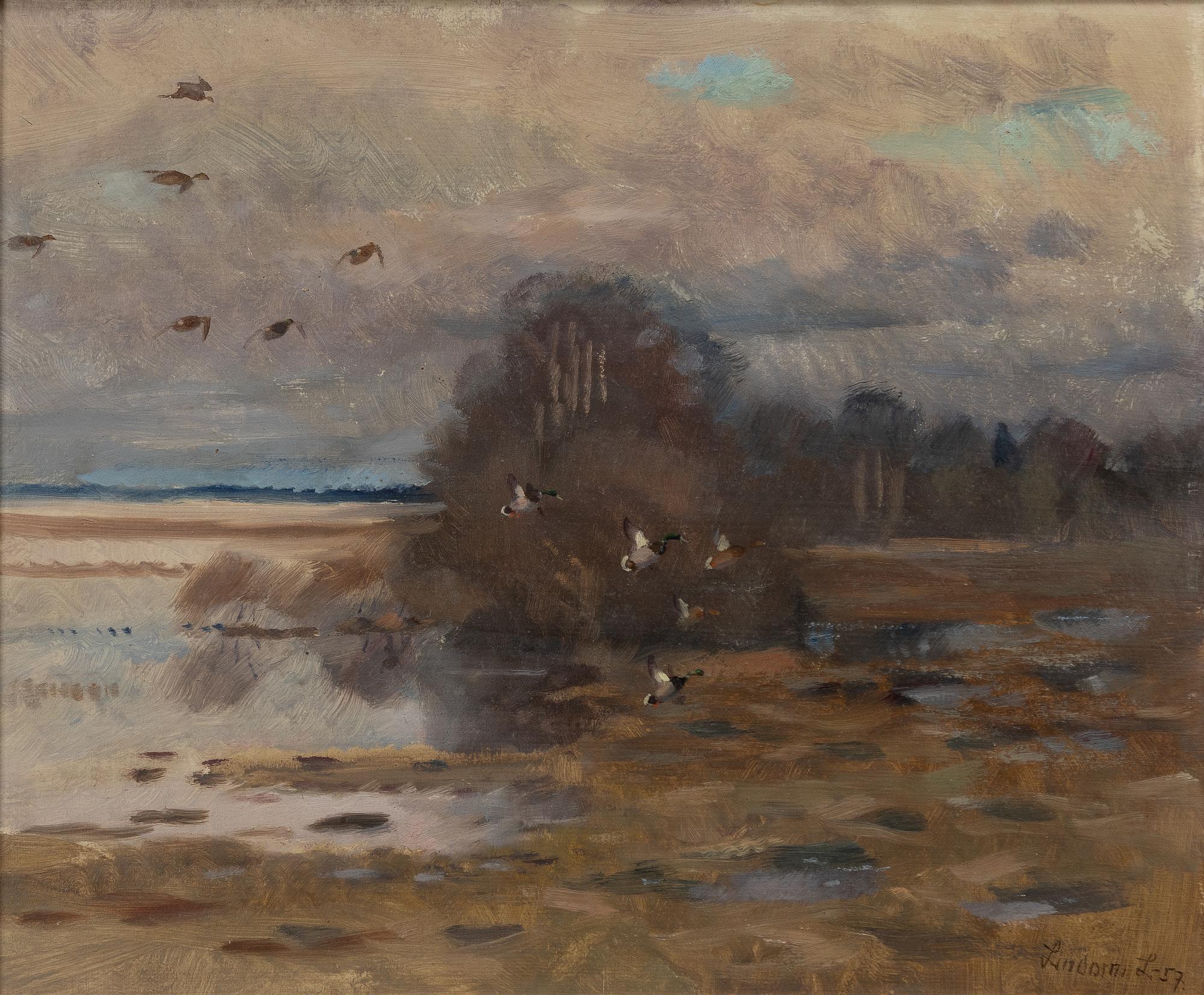 Lindorm Liljefors, Fällande gräsänder.