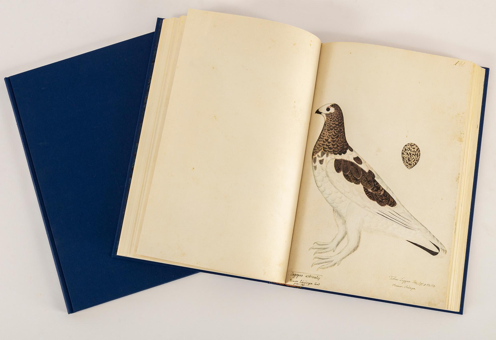 Olof Rudbeck the younger, after, a portfolio and two books, 1985. Numbered 285/1499.