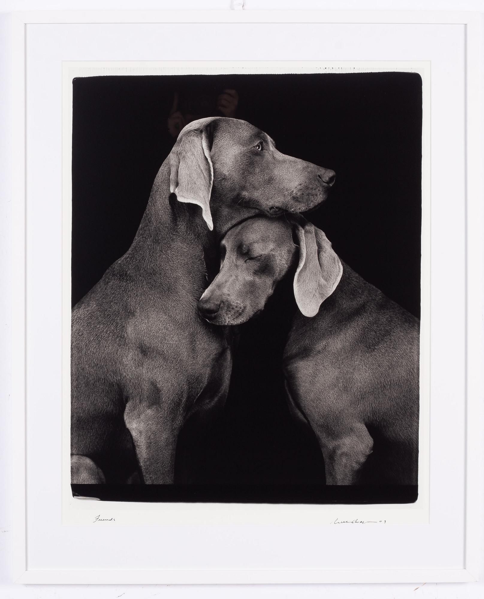 William Wegman, "Friends".