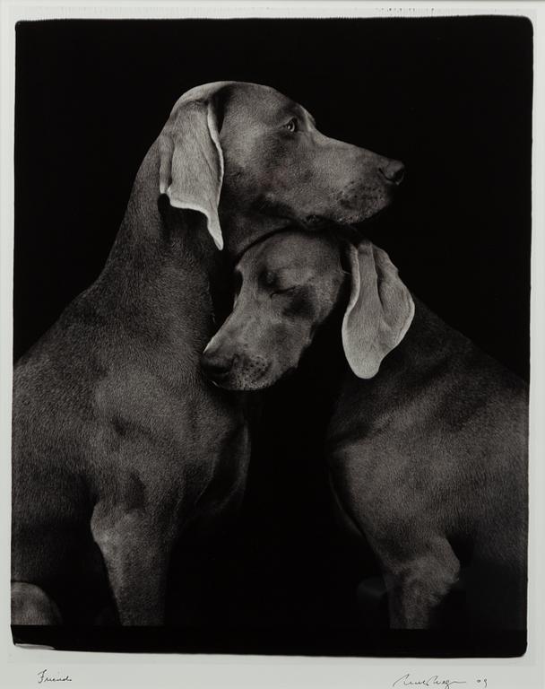 William Wegman, "Friends".