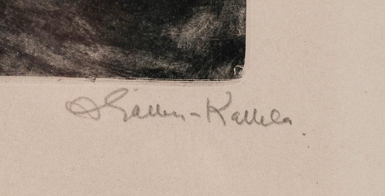 Akseli Gallen-Kallela, FUNDERSAM.
