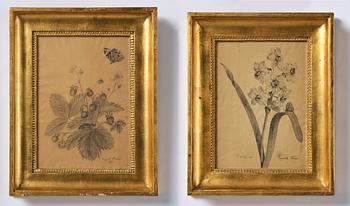 A pair of Swedish Empire giltwood frames with flower sketches, early 19th century.