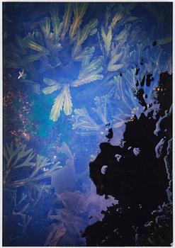 Lena Koller, "Tång", 2013.