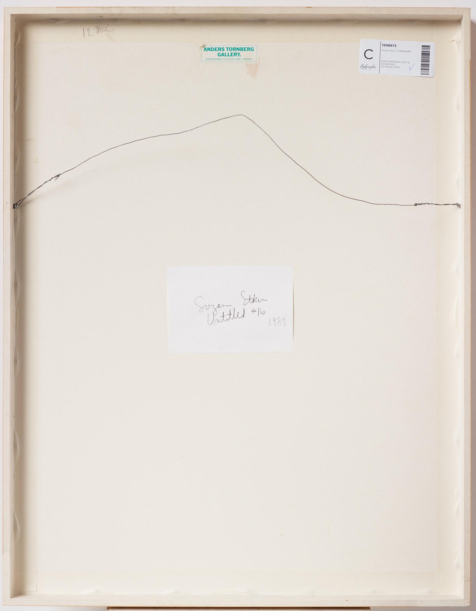 Suzan Etkin, "Untitled #16".