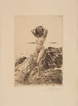 110. Anders Zorn, "Hårtång".