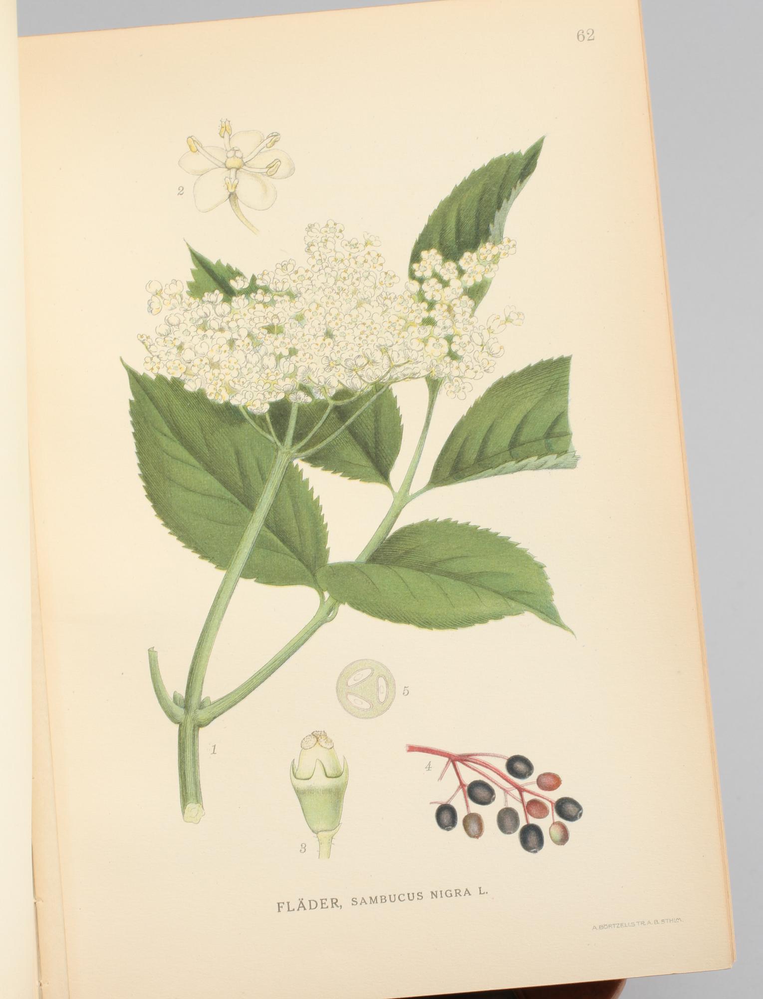 BÖCKER, 3 volymer C.A.M Lindman. "Bilder ur Nordens Flora". C. A. M. Lindman, Wahlström & Widstrand, 1922-1926.