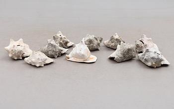 SAMLING SNÄCKOR, 10 st, 1900-tal.