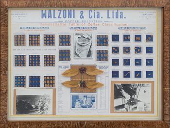 "Demonstrative Table of Coffee Classification".