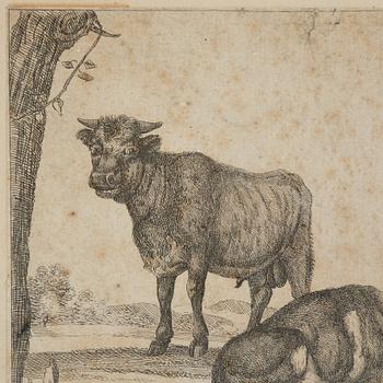Paulus Potter, tillskriven, Boskap.