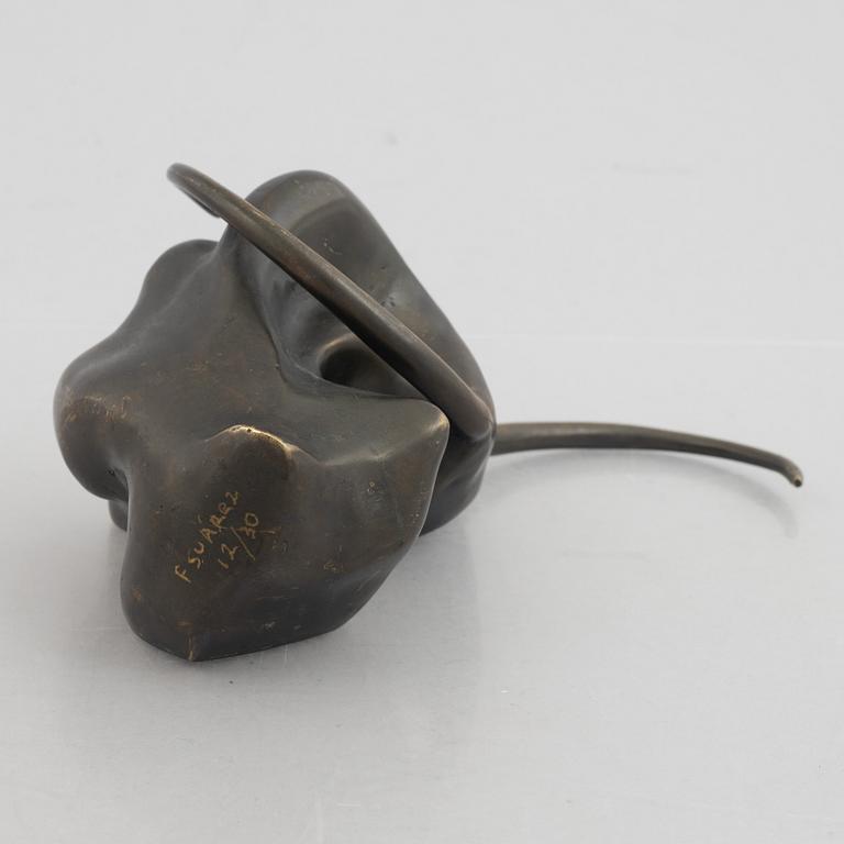 Fernando Suárez Escobar, Untitled.
