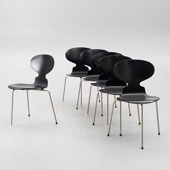 Arne Jacobsen, stolar, 6 st, "Myran", Fritz Hansen, Danmark, 1950/60-tal.