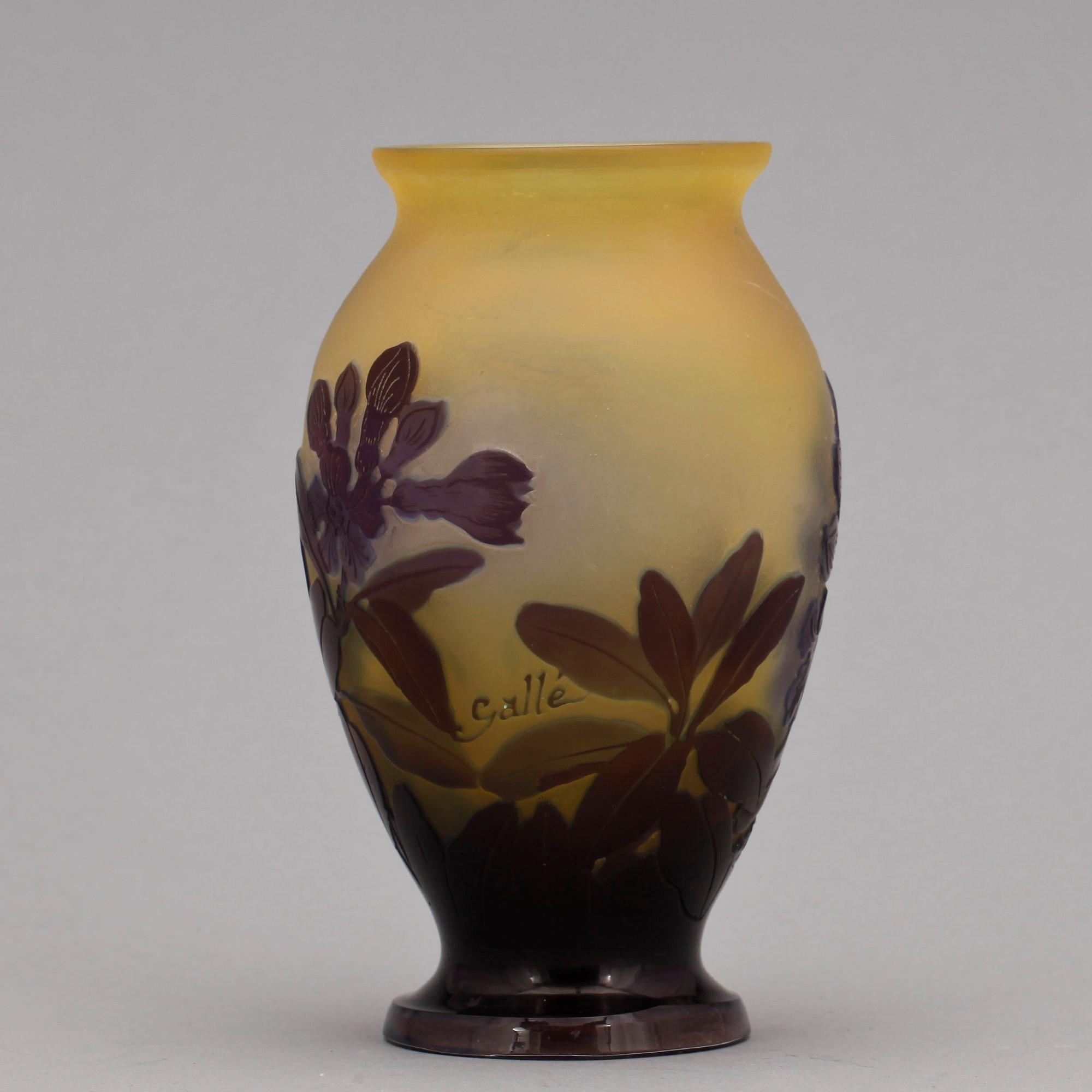 VAS, glas, Émilie Gallé, Frankrike, Jugend 1900-talets början.