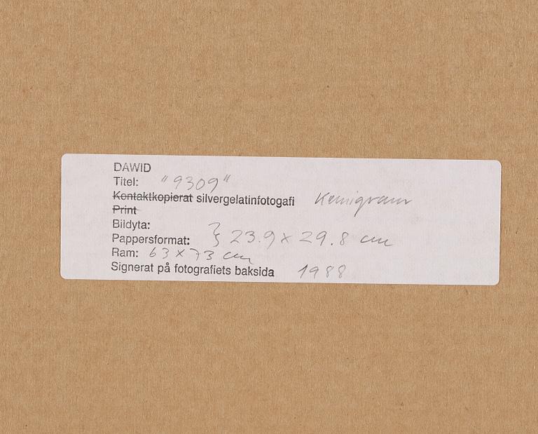 DAWID, Chemigraph on gelatin silver paper signed and dated 1988 on verso. Vintage.