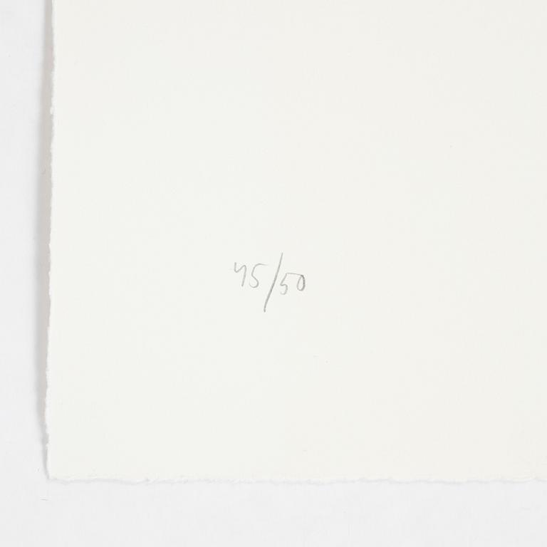 Jan Håfström, etching in colours, 2020, signed 45/50.