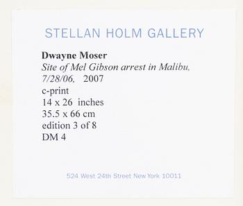 Dwayne Moser, "Untitled Backdrop (Site of Mel Gibson’s DUI arrest, 7/28/06)", 2007.