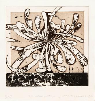 Micheal Farrell, map "A shorter History".