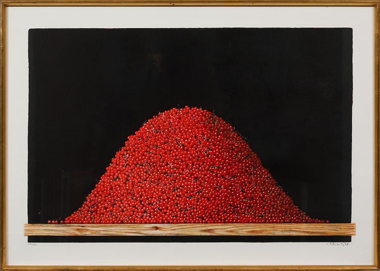 PHILIP VON SCHANTZ, färglitografi, signerad, numrerad 245/265 och daterad -78.