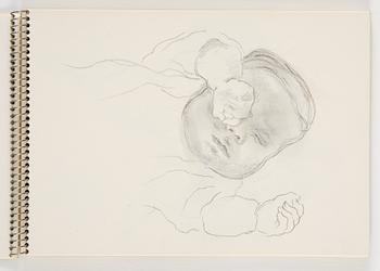 Lotte Laserstein, Skissblock med 19 teckningar varav 1 signerad.