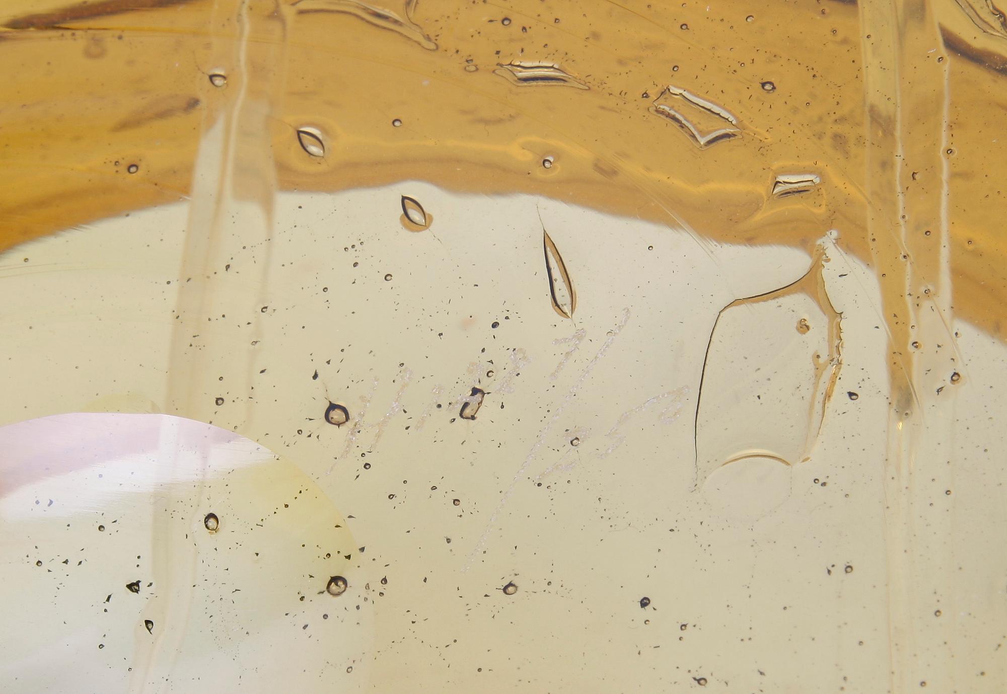 SKÅL, glas. Erik Höglund, Boda.