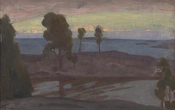 Georg Pauli, Archipelago view.