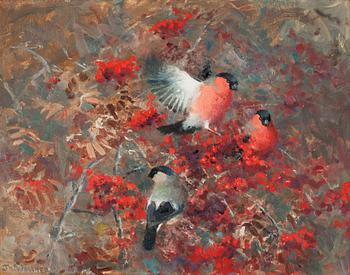 137. Thure Wallner, Bullfinches in a rowan tree.