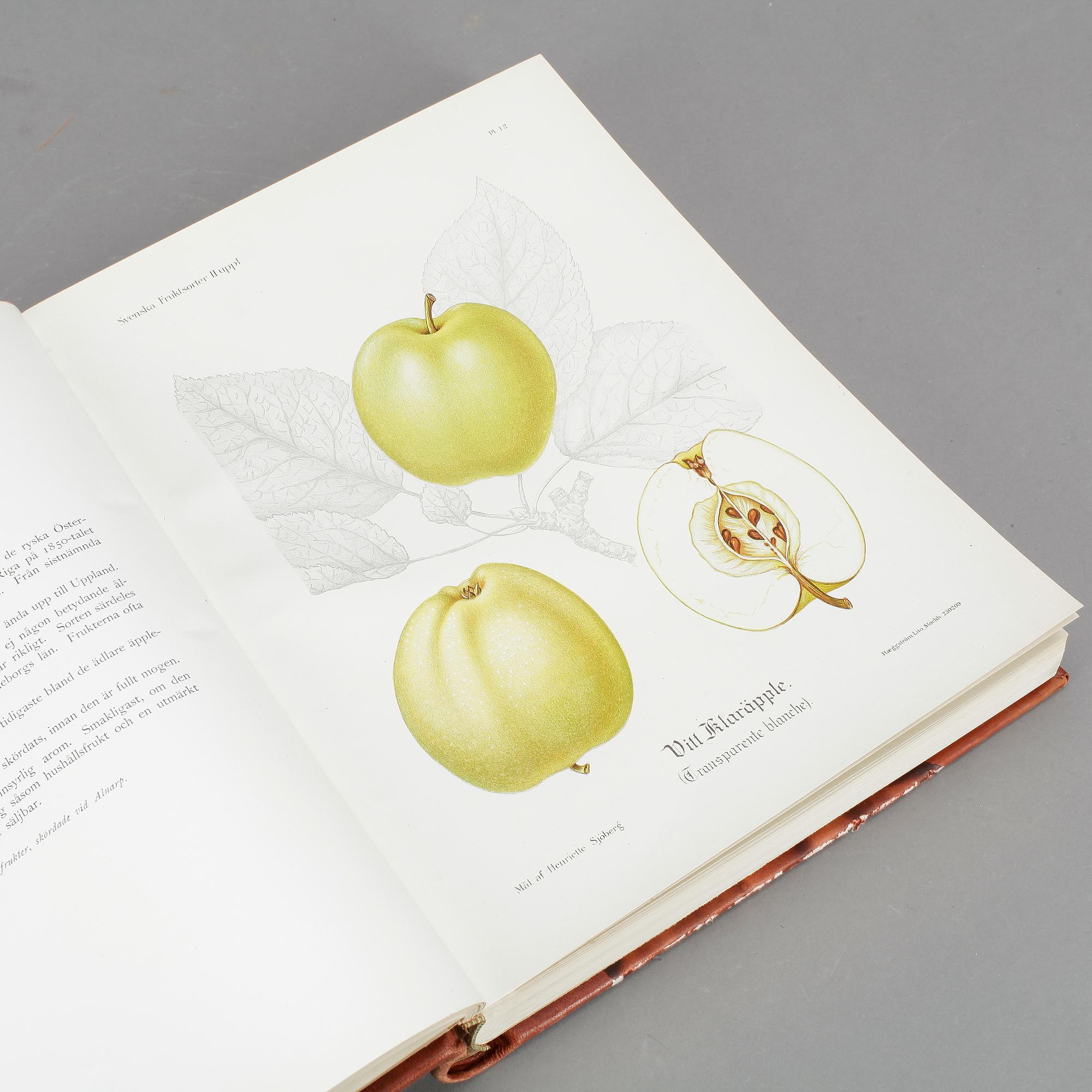 BOK, "Svenska Fruktsorter", Phil-Eriksson, PA Norstedt & Söners Förlag Stockholm 1924.