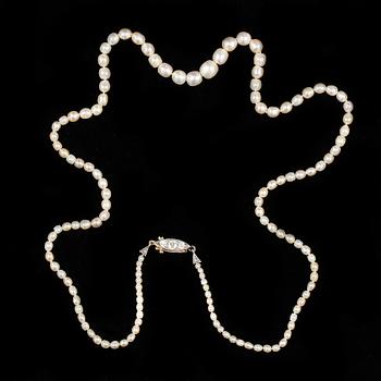 COLLIER, orientaliska pärlor, lås i guld med små diamanter.