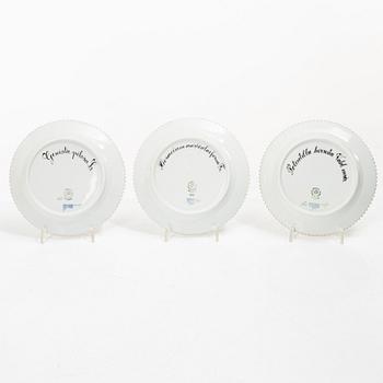 Royal Copenhagen, nine fruit plates, 'Flora Danica', Denmark.