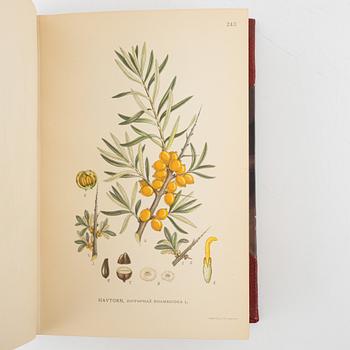 "Bilder ur Nordens Flora", C.A.M Lindman, Wahlström & Widstrand, Stockholm 1922-26 (3 volumes).