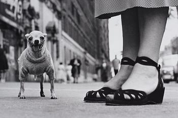 100. Elliott Erwitt, "New York City", ca 1950.