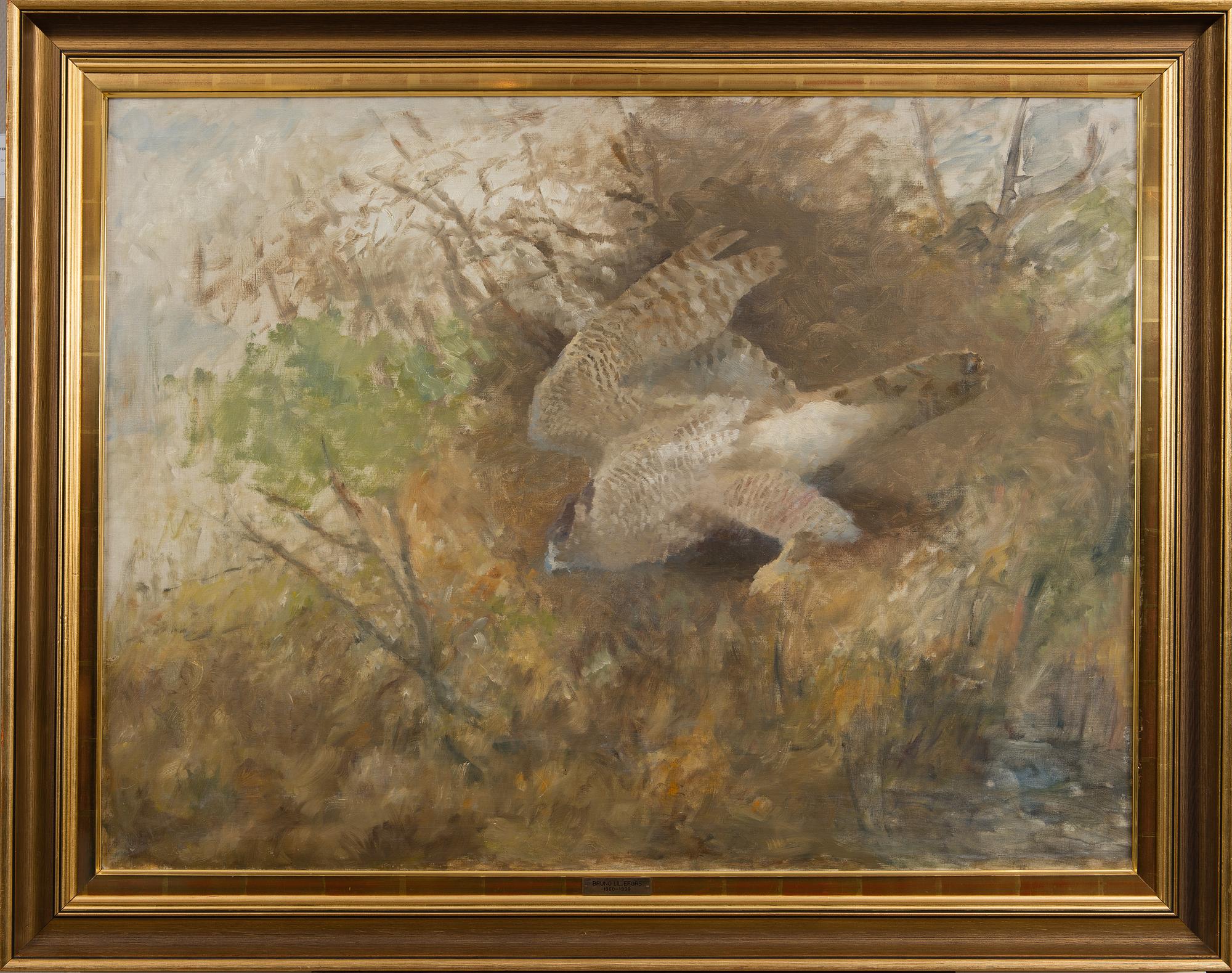 BIRD OF PREY.