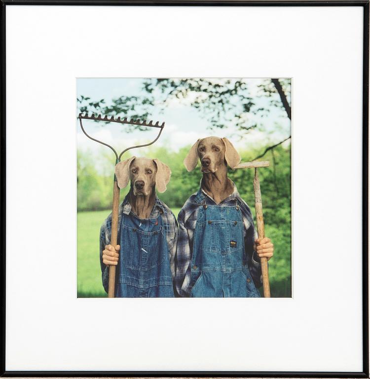 William Wegman, "Farm Days".