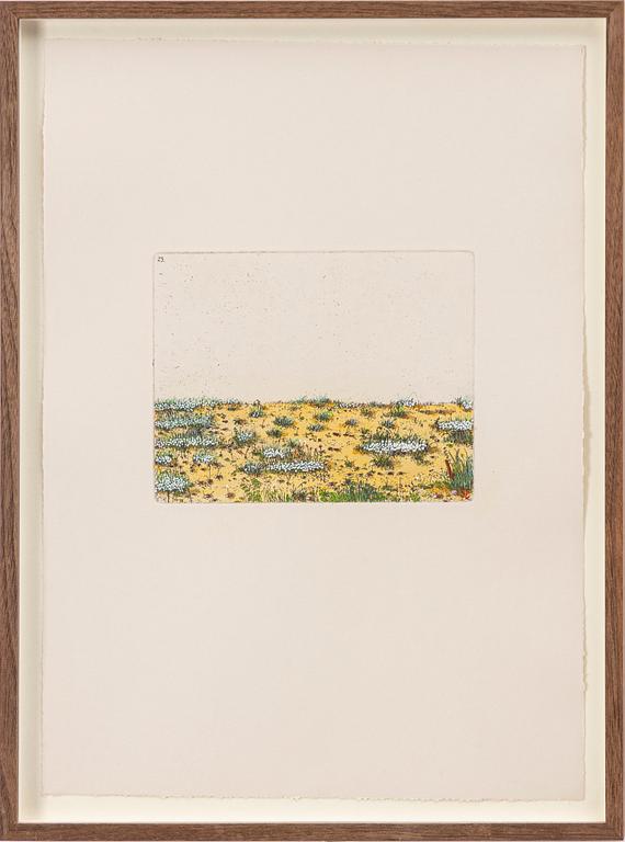 Sten Eklund, "Översiktsbild av den ditintills rådande vegetationstypen" Ur "Kullahusets hemlighet".