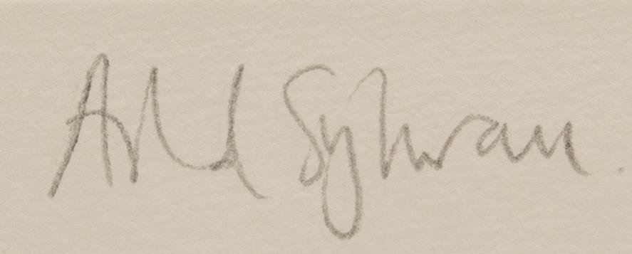 Astrid Sylwan, untitled.